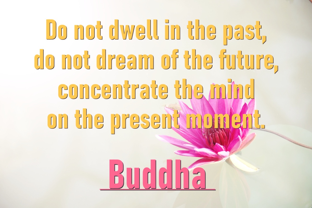 Citation de Bouddha / Buddha’s Quote